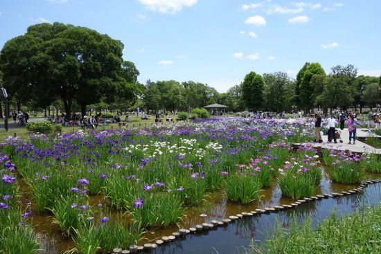 Hamburgs hamns jubileum